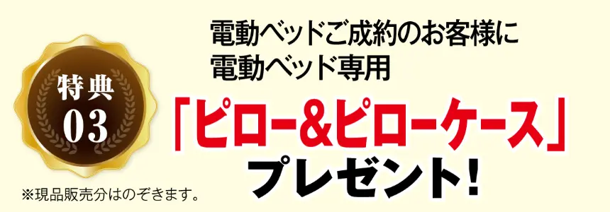特典03 電動ベッドご成約のお客様に 電動ベッド専用 「ピロー&ピローケース」 プレゼント! ※現品販売分はのぞきます。