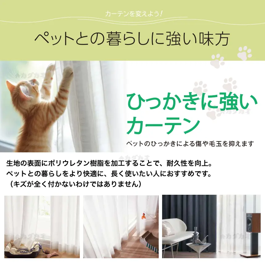 アスワン　ペットとの暮らしに強い味方 ひっかきに強いカーテン