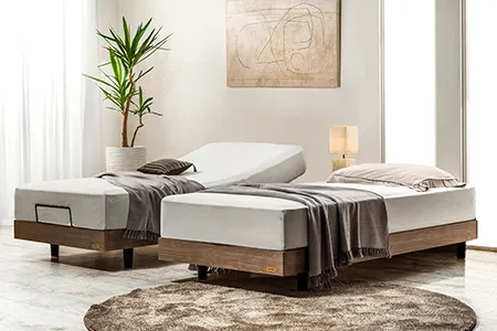 フランスベッド　ファデイア