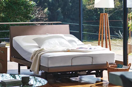 フランスベッド　グランサス