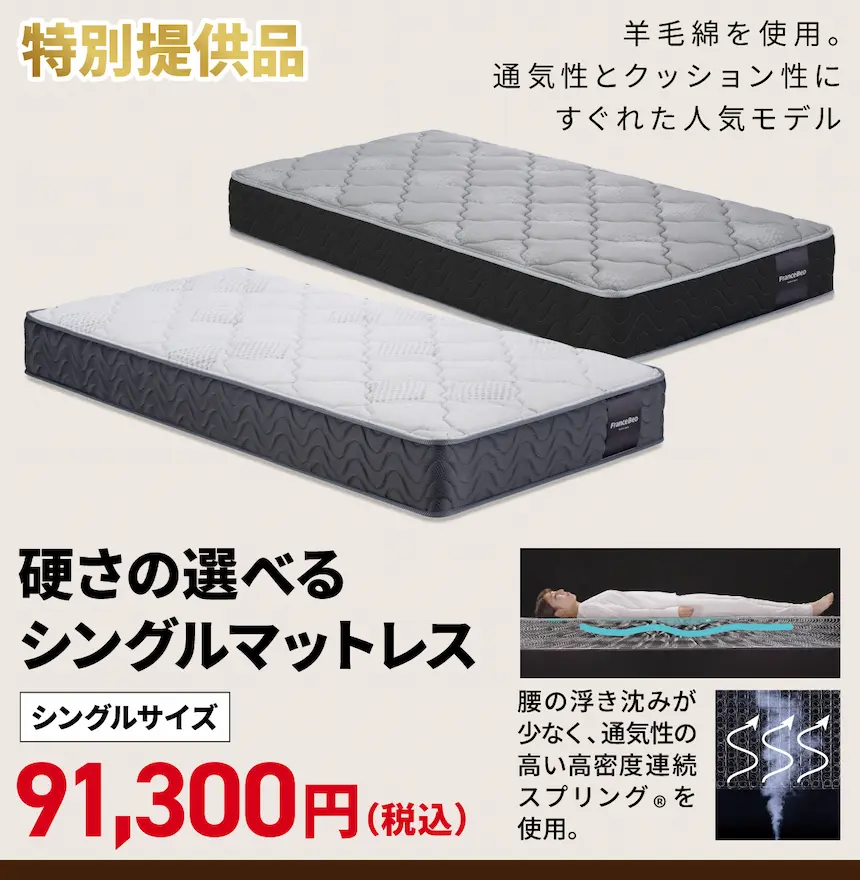 フランスベッドバーゲンin 町田　特別提供品