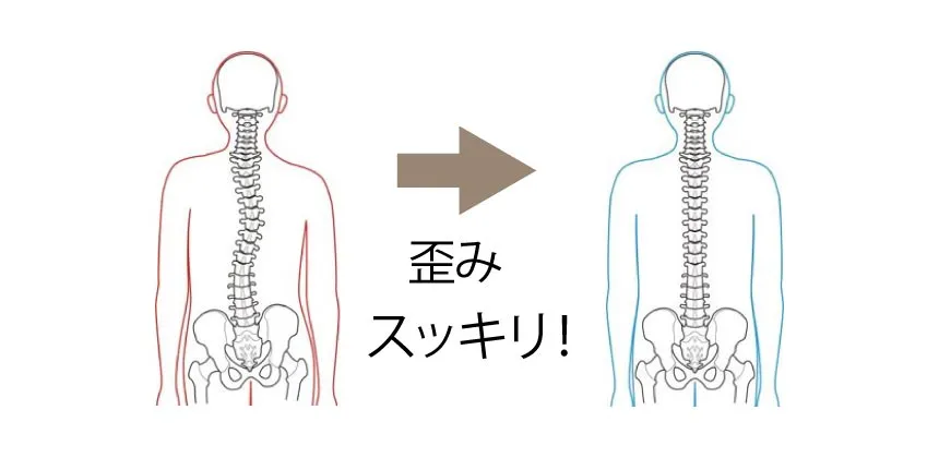 フランスベッド　ラミダス　背骨の歪みすっきり