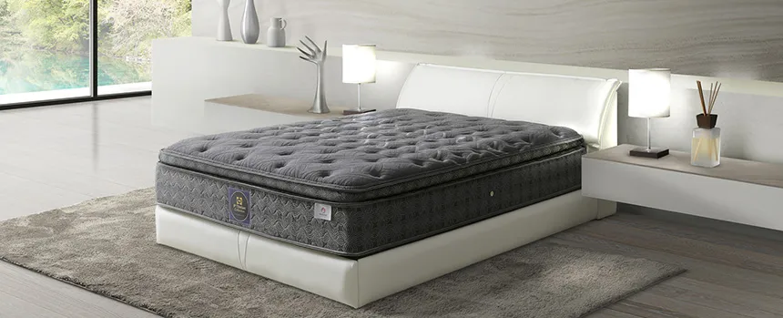 シーリー「チタンコレクション」 進化しつづけるしなやかで優しい眠り 身体の凸凹や体圧にあわせて反発力が変化する「タイタニウムコイル」は、原材料に微量のチタンを含有させました。優しい寝心地と強度を併せ持つコイルです。